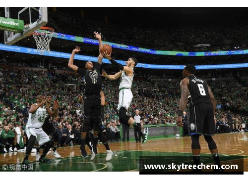 CCTV5NBA精彩回放：篮球魅力全方位解析