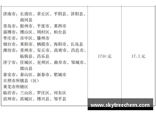 优化罚球球员更替规则：提升比赛公正性的终极方案