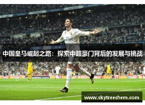 中国皇马崛起之路：探索中超豪门背后的发展与挑战
