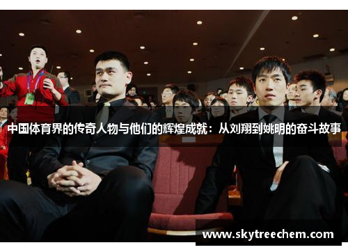 中国体育界的传奇人物与他们的辉煌成就：从刘翔到姚明的奋斗故事