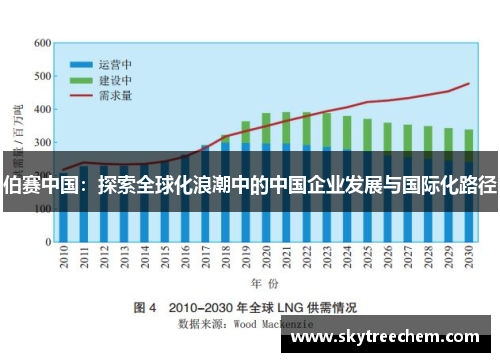 伯赛中国：探索全球化浪潮中的中国企业发展与国际化路径