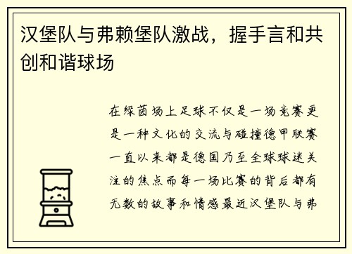 汉堡队与弗赖堡队激战，握手言和共创和谐球场
