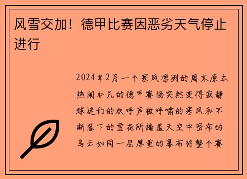 风雪交加！德甲比赛因恶劣天气停止进行